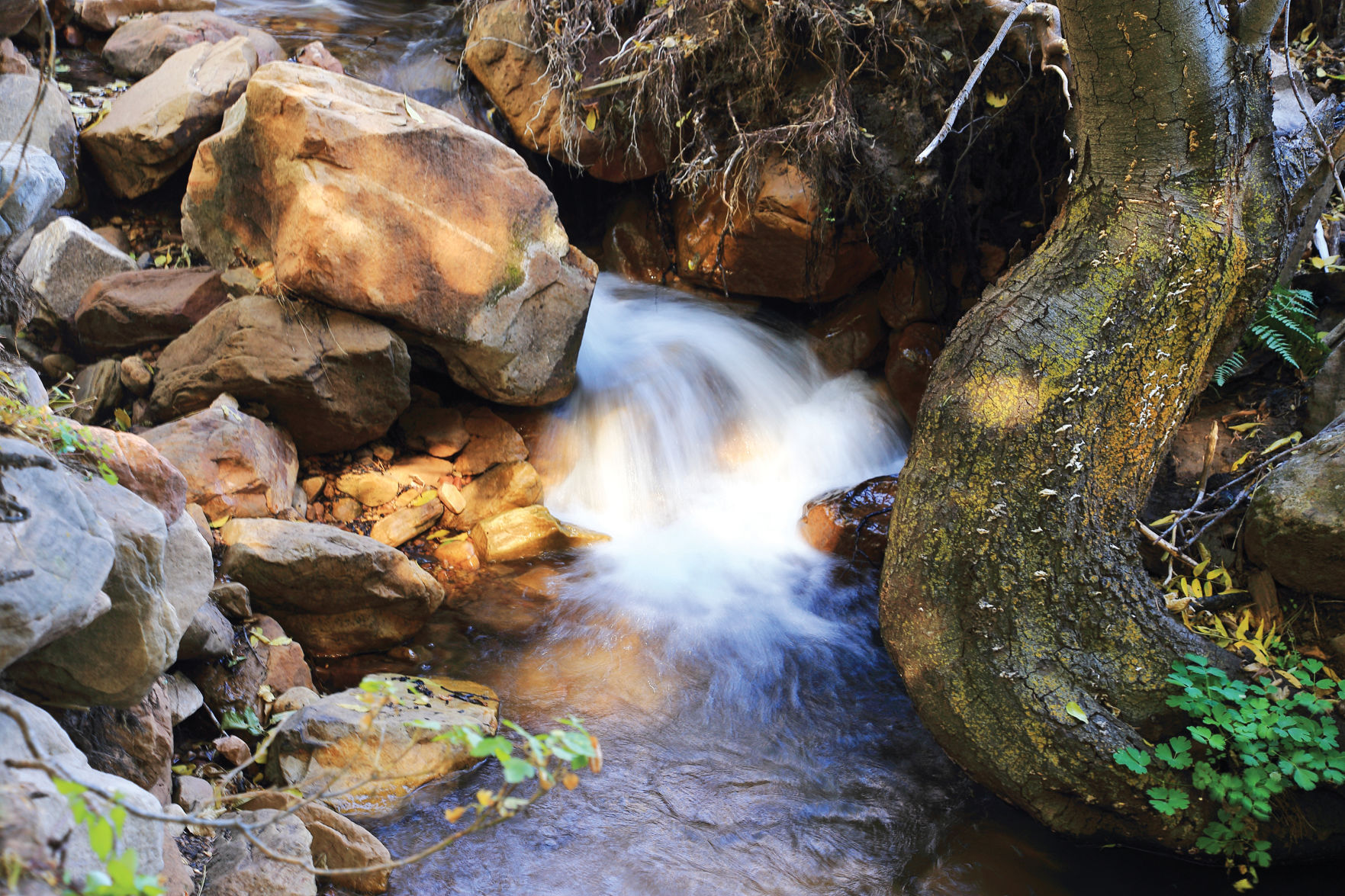 highline Bonita Creek rgb 3000x2000.jpg